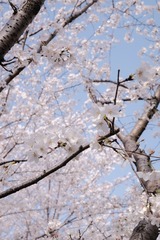 9A4D80B1-109F-4503-B416-615C673DB40C/L0/001