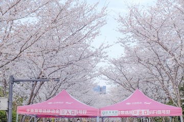 28DC8C1E-6CE7-40FE-9537-66E9D5CEADD0/L0/001