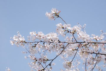 5F51948D-AF00-48C2-93C0-EE3B4A0C09A2/L0/001