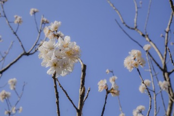 2D9D7852-09A8-4B90-9F56-B1A79747EFC7/L0/001