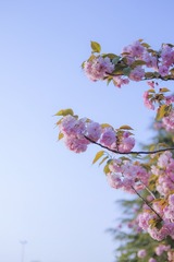 24422C0E-B79D-46F2-AE33-0A3C9125F02D/L0/001