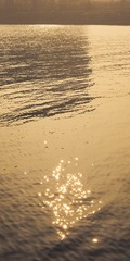955C2E11-C86B-4726-A771-D3E29ED29A05/L0/001