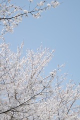 0F0E09A8-2F3E-4066-A725-ADE159C4F4FF/L0/001