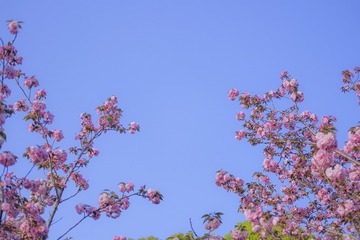 70E0A7B7-AC1B-46C6-B1DE-7C4B7C1BDC58/L0/001