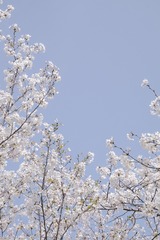 C74FF8F1-3FAA-4F3E-95C3-DE8DB714A825/L0/001