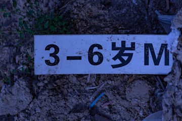 2138041