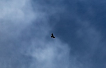 2138037