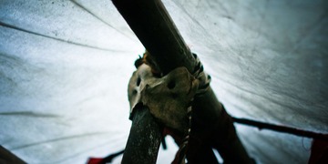 IMG_2299s.jpg