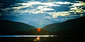 IMG_2247s.jpg