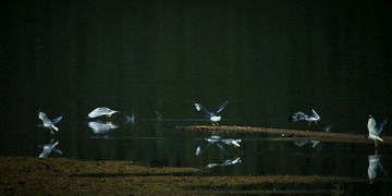 IMG_2198s.jpg