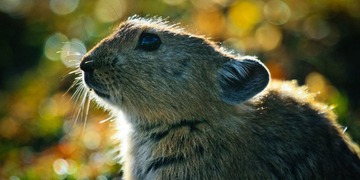 IMG_2183s.jpg