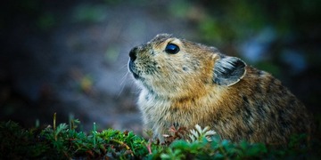 IMG_2144s.jpg