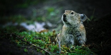 IMG_2139s.jpg