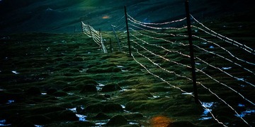 IMG_226s7.jpg