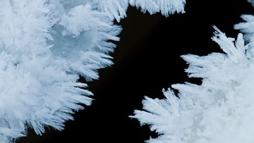 IMG_0400.jpg