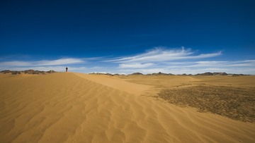 015Y0875