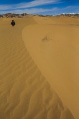 015Y0900