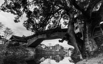 _MG_1071_1