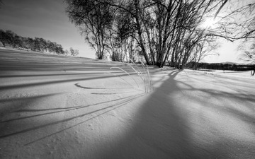 IMG_5897_1