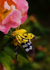 E42A8929-CE00-48F1-84D3-D9DDA713DE0C/L0/001