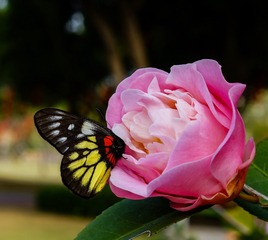 F66EC674-2FAC-446B-9E4B-36CFF3F90A7B/L0/001