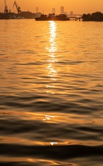 DSCF6919