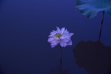 10410