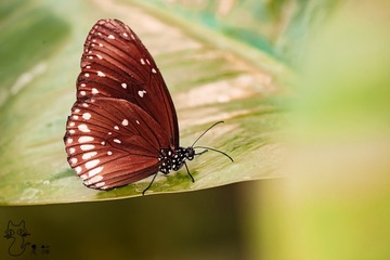 3U0A4255 拷贝