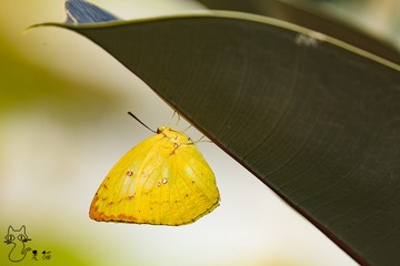 3U0A4296 拷贝