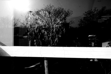 _DSC6710