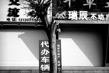 _DSC6734