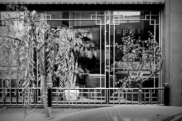 _DSC6799