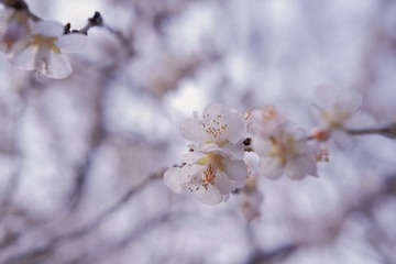67D0534D-DCB3-424A-960A-720F2C7867FE/L0/001