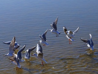 DSC01675__