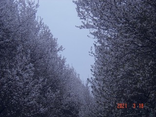 2002824