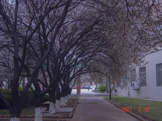 2002822