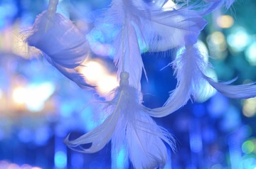 C6F09067-0AC4-47A6-8440-DD98AAA51B92/L0/001