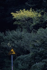 Optional(