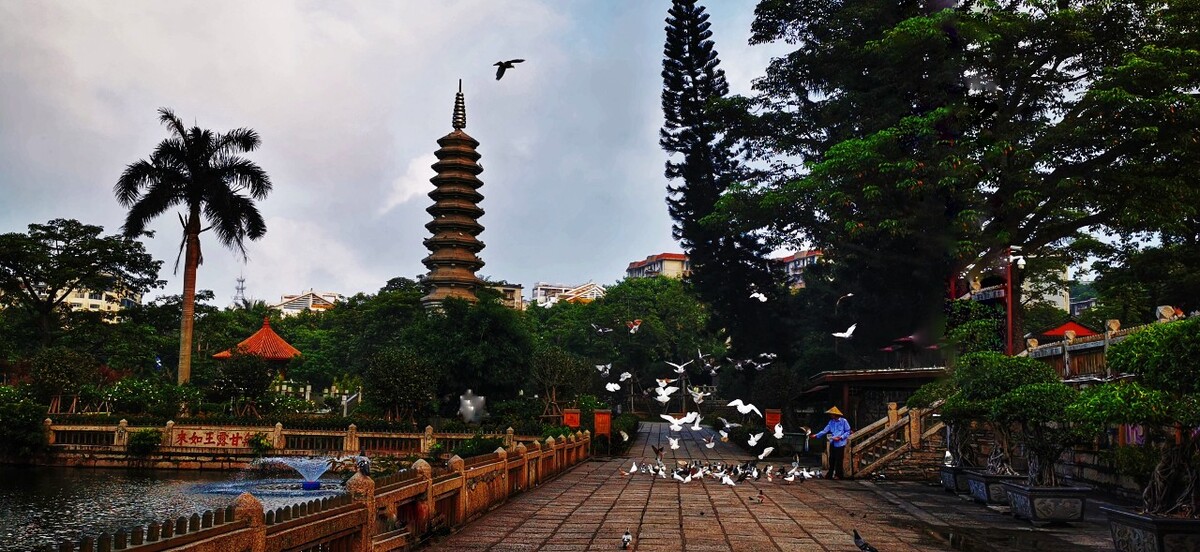 清晨南普陀寺