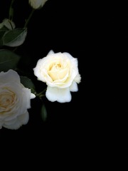 7E601727-D2A8-4093-97B8-200A5CB31BC7/L0/001