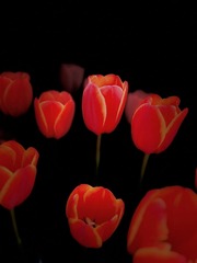 8D74BCF0-36B2-4367-B368-7D1ABCB5823A/L0/001
