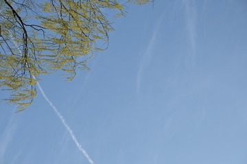 921620