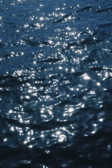 773430F4-8788-4312-B88C-B1D1CD6BEB69/L0/001