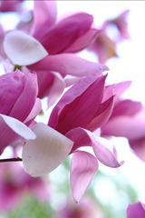 A817F3EA-781B-43F9-9D64-1802897A2770/L0/001