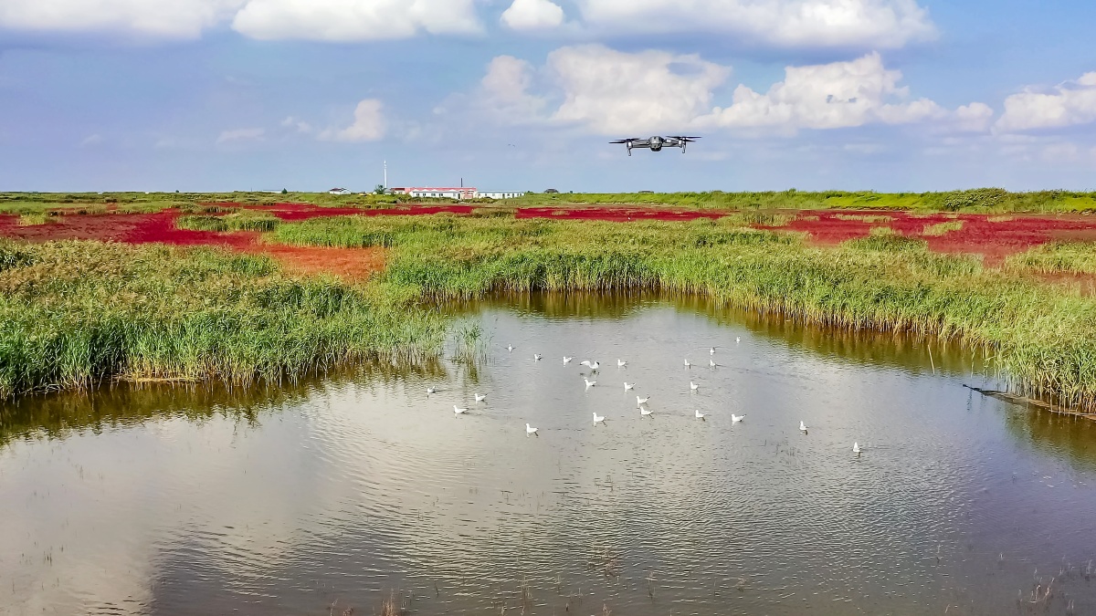无人机航拍盘锦红海滩