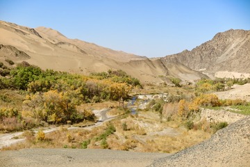 4D886790-CA9F-4415-9C59-84DFADEB7EA3/L0/001
