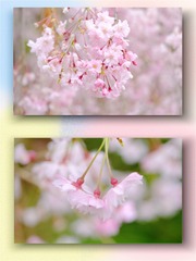 0066F186-007C-4C8F-A636-5C021C3294A9/L0/001
