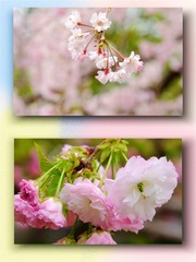 0DAE4C56-45A1-4554-A6BC-496ED2AD15DF/L0/001