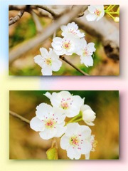 D4BDD7C2-E7ED-492F-B0B6-B92ABD20BB95/L0/001