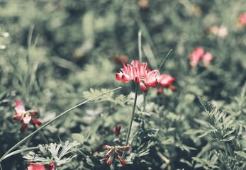 E84EF4DA-A887-4FA8-849E-F07B6D05EC97/L0/001